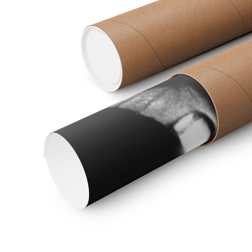 Diet Noir, Pearls. No. 5 | Printed Matte Poster. 2026. Matte Poster | Black & White Portrait Art